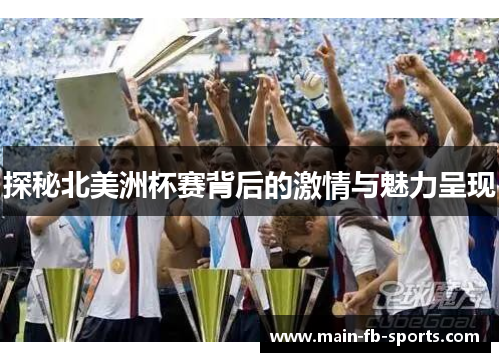 探秘北美洲杯赛背后的激情与魅力呈现